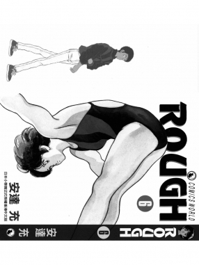 ROUGH-06