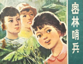 《密林哨兵》甘肃人民出版社 朱光荣