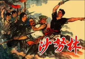 《沙努林》越南人民革命战争 徐有武