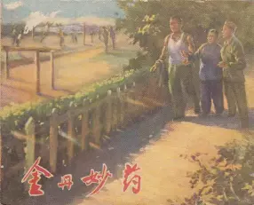 《金丹妙药》上海人民美术出版社