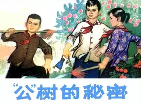 《“公”树的秘密》天津人美出版社 赵国经 王美芳