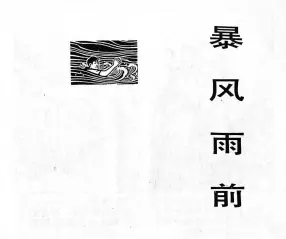红小兵《暴风雨前》上海人民出版社