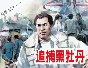 刑警803改编《追捕黑牡丹》