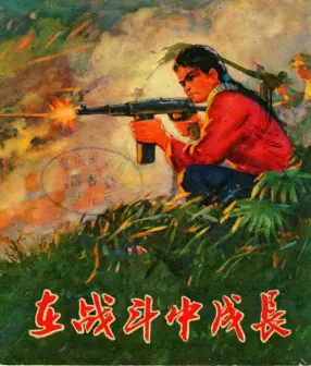 在战斗中成长-越南南方女英雄黎氏红锦的战斗故事